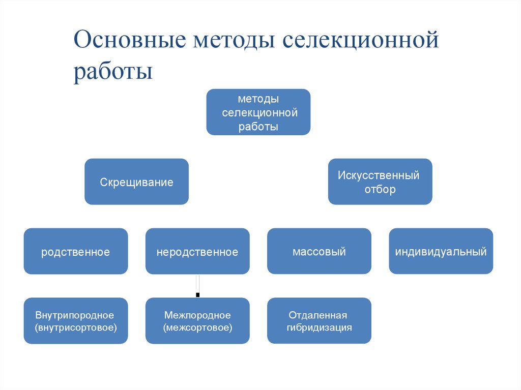 Основные методы селекции схема