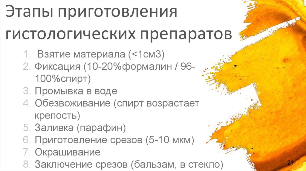 Этапы приготовления. Основные принципы и этапы приготовления гистологических препаратов. 2 Этапы приготовления гистологических препаратов. 1. Основные стадии приготовления гистологического препарата.. Этапы изготовления гистологического препарата.