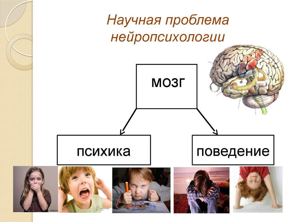 Психика и поведение человека презентация. Поведение и психика. Нейропсихология презентация. Нейропсихологические проблемы. Проблемы нейропсихологии.