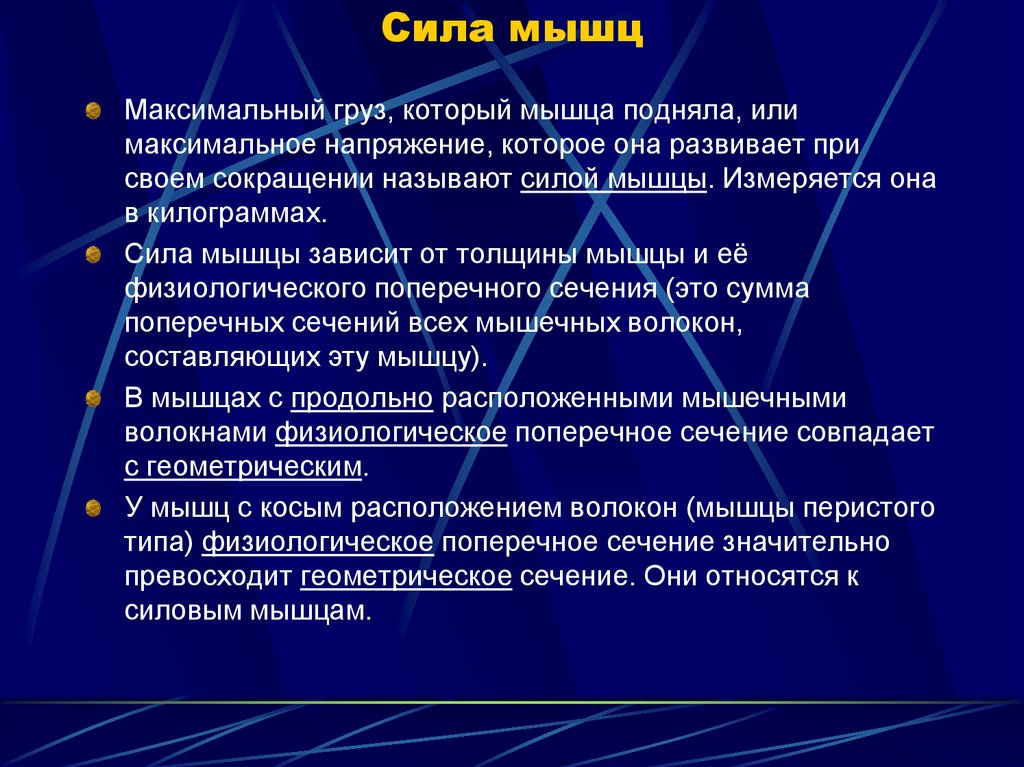 Абсолютная сила определить. Сила мышц. Максимальная мышечная сила. Мышечная сила физиология. Сила мышц и методы ее определения.