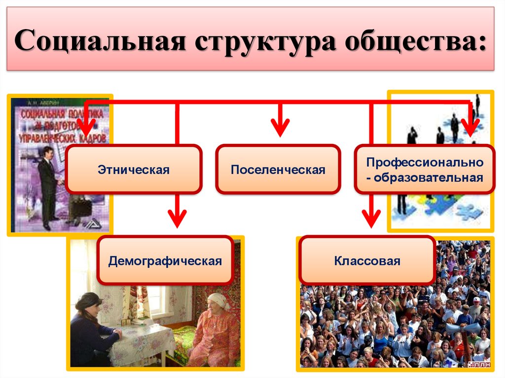 Схема социальная структура российского общества в 17 веке 7 класс