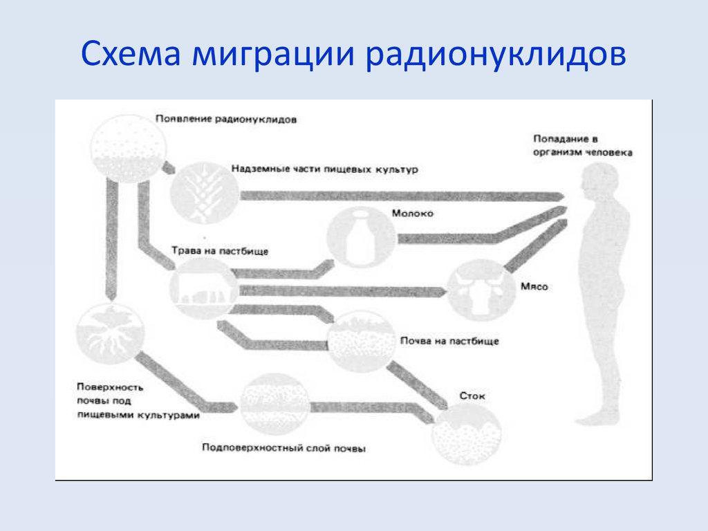 Пути миграции и накопление в биосфере токсичных и радиоактивных веществ схема