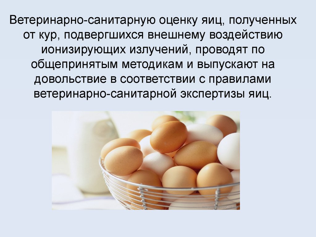 Какие функции выполняет яйцо. Экспертиза куриных яиц. ВСЭ яиц и яичных продуктов. Санитарное исследование яиц. Яйца и яичные продукты Товароведение.