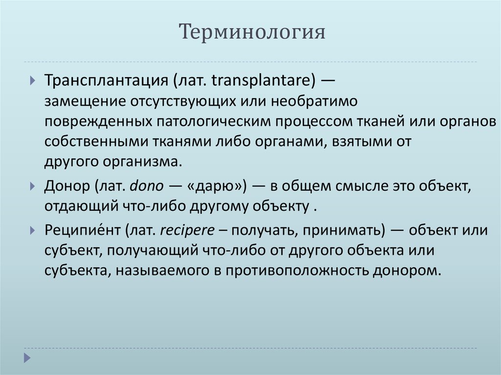 Терминология