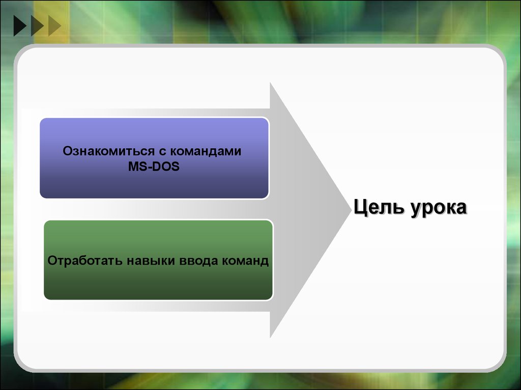 ЛР использования команд MS dos.