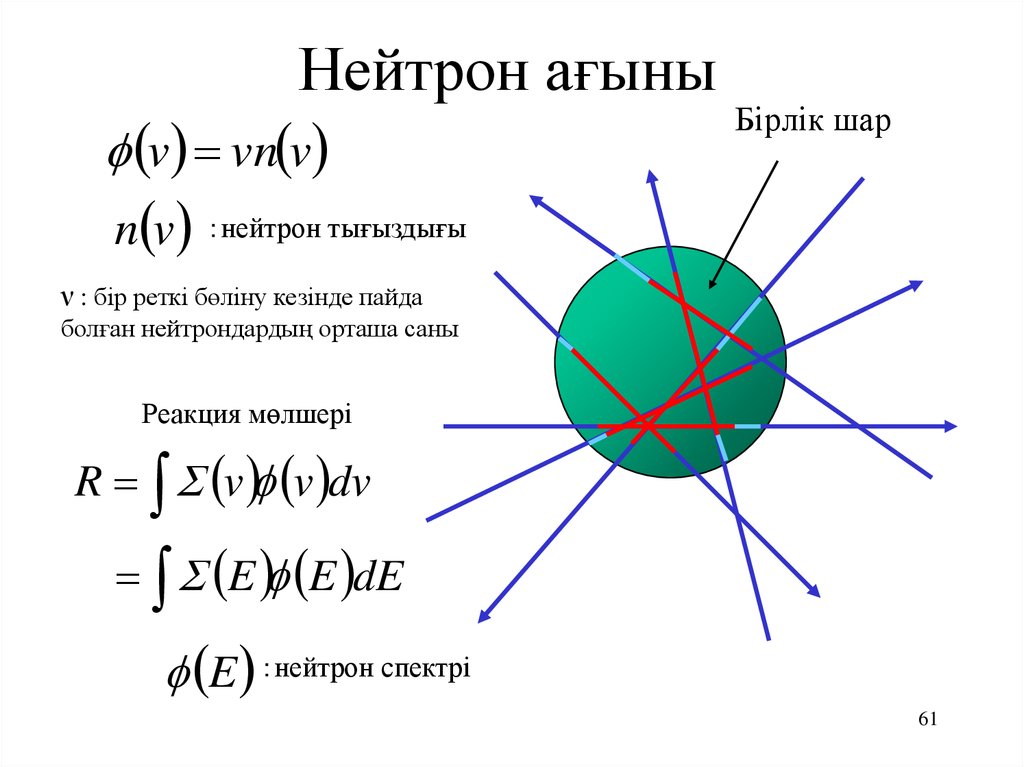 Ядроның реакция қимасы