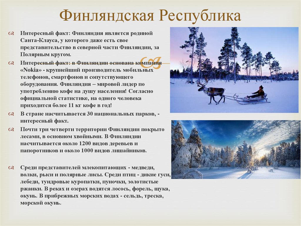 Финляндия описание страны 3 класс. Что интересного в Финляндии. Основные сведения о Финляндии. Рассказ интересный о Финляндии. Интересные факты о Финляндии.