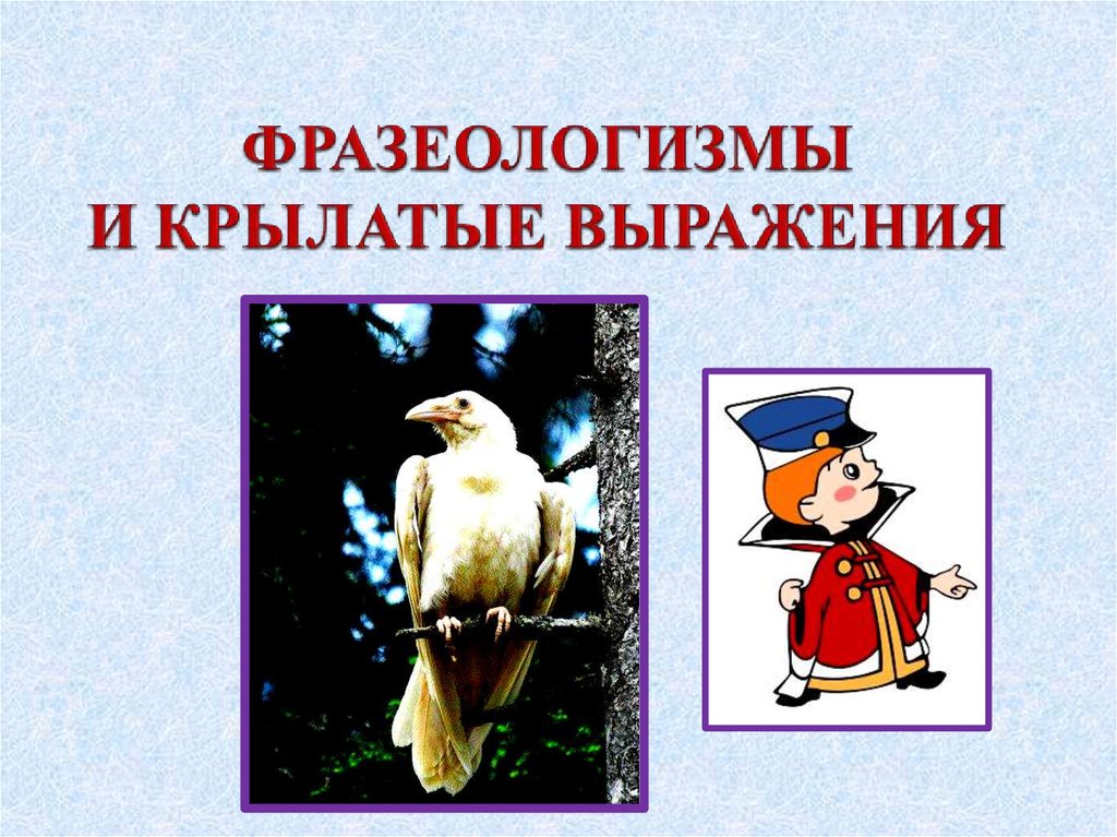 Сравнение фразеологизм. Фразеологизмы и крылатые выражения. Рисунок на тему крылатые выражения. Фразеологизмыкрвлатые выражения. Крылатые слова фразеологизмы.