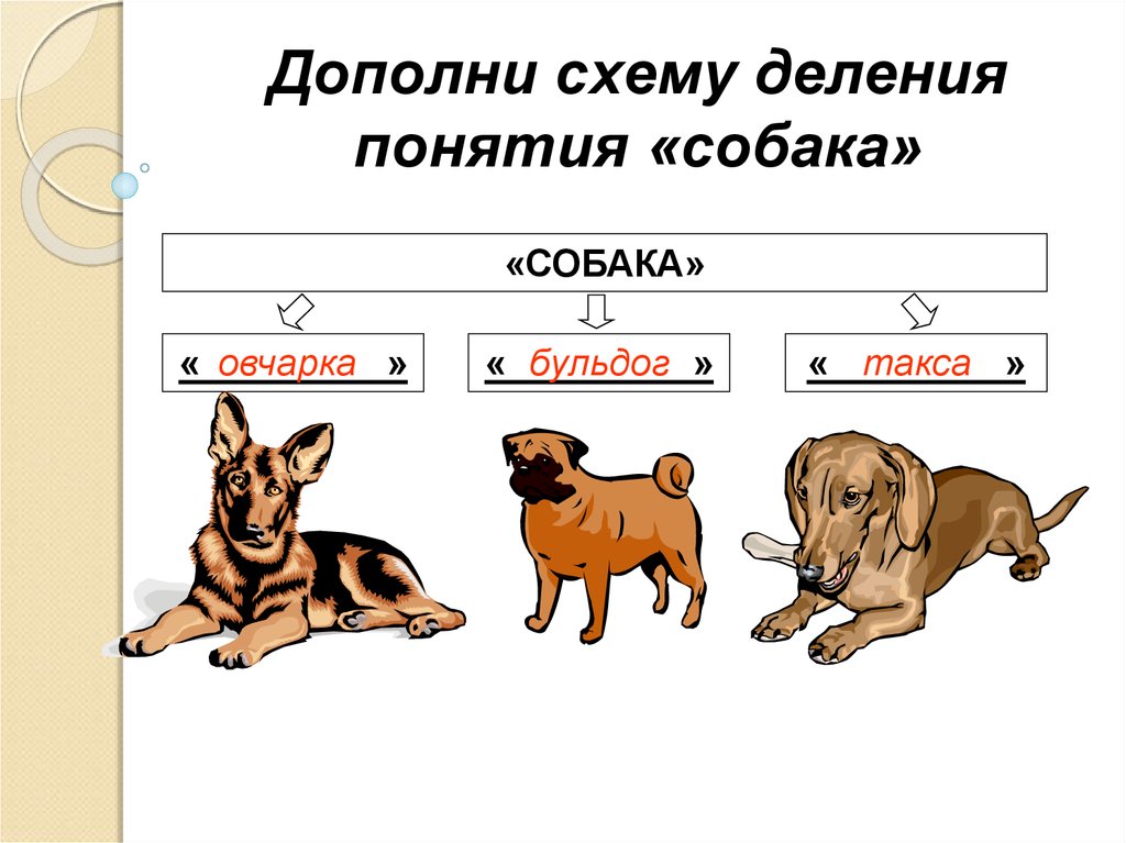 Слово собака составить слова. Родовые и видовые понятия. Родовое понятие. Родовое понятие и видовое понятие. Примеры родовых и видовых понятий.