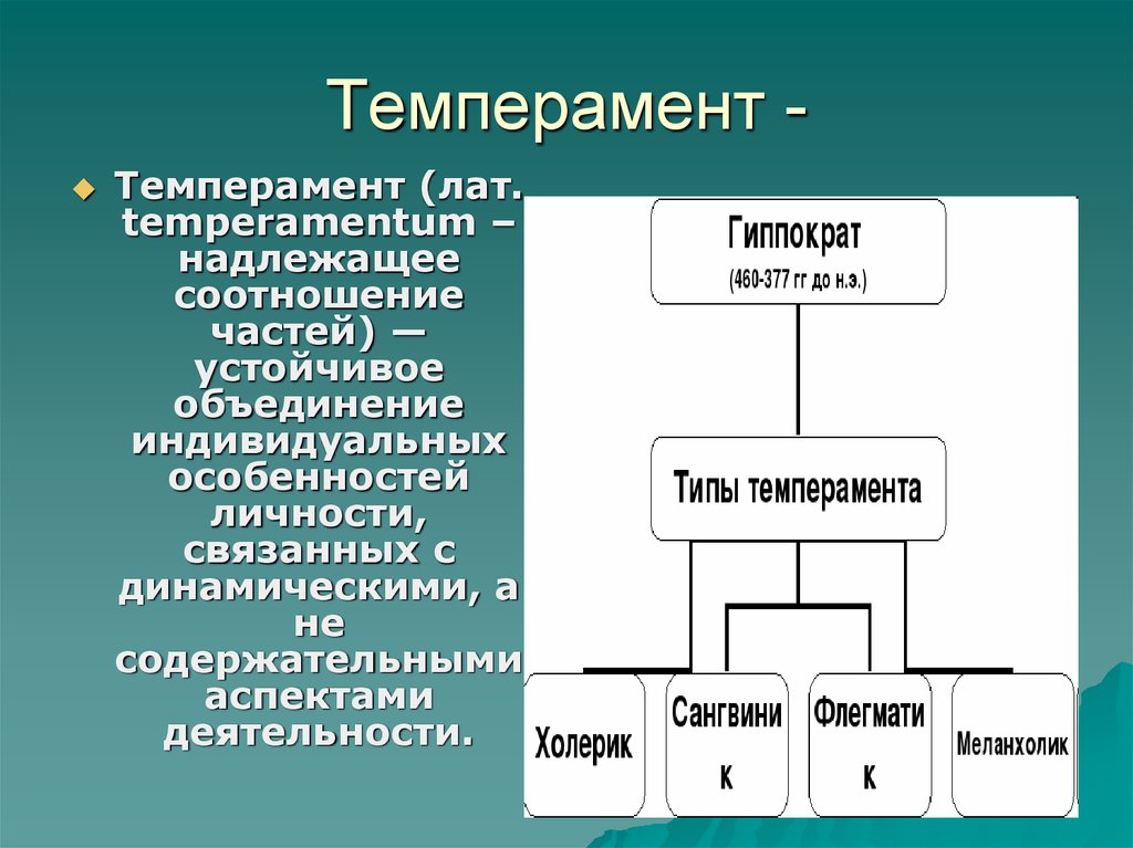 Устойчивое объединение. Темперамент надлежащее соотношение частей. Темперамент лекция. Темперамент личности лекция. Темперамент лекция по психологии.