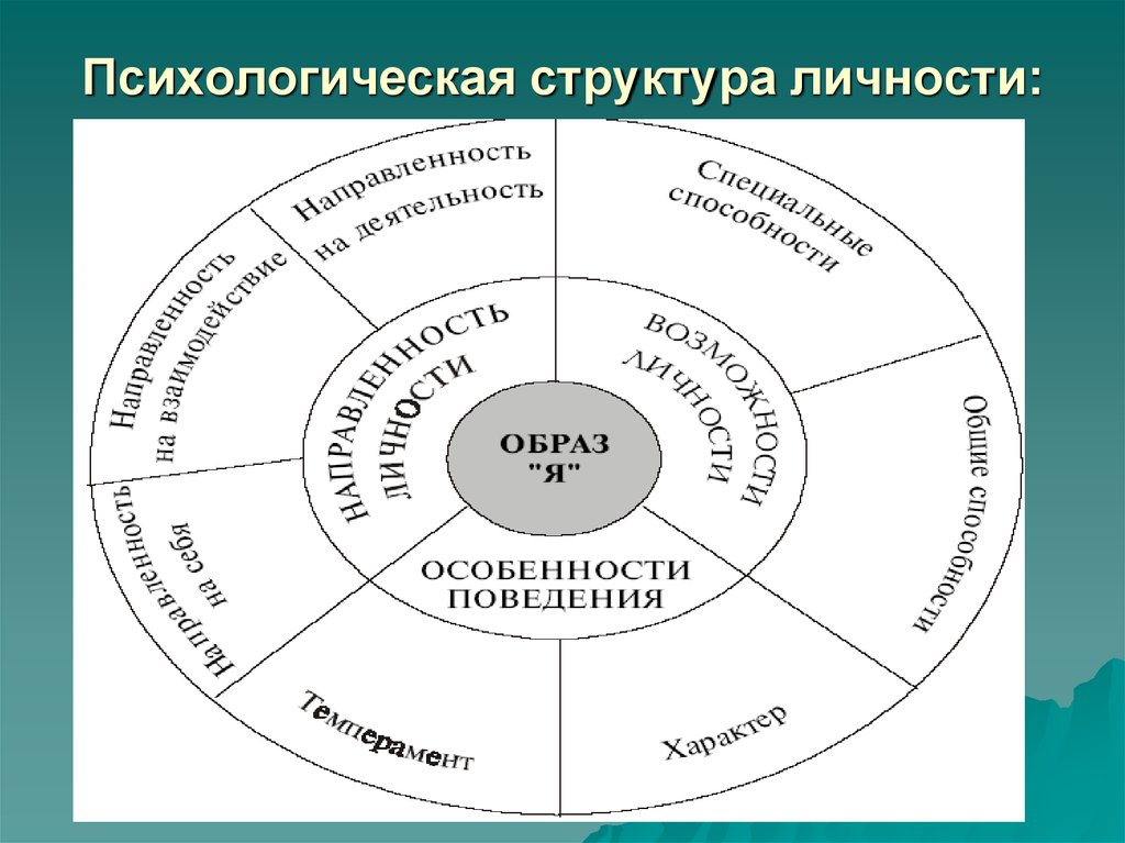 Составьте схему структура личности любых двух авторов