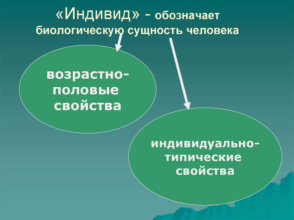 Биологическая сущность человека. Какое понятие обозначает биологическую сущность человека это. Биологические качества индивида. Типическое и индивидуальное в личности.