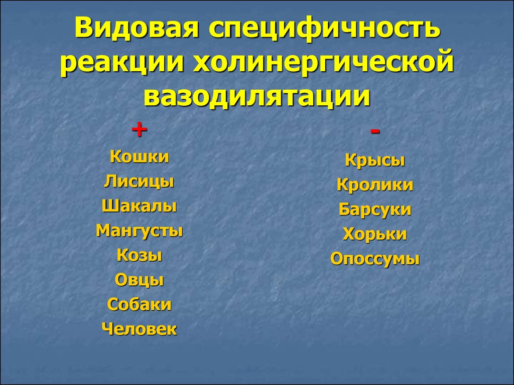 Видовая специфичность реакции холинергической вазодилятации