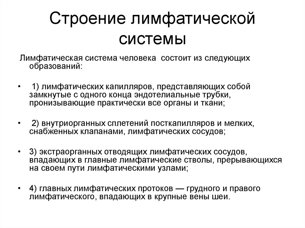 Функции лимфатической системы