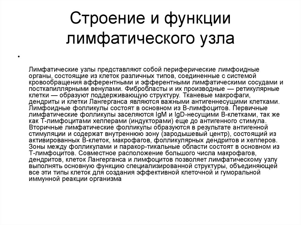 Лимфатические узлы функции. Лимфатические узлы строение и функции. Функции структур лимфатического узла. Лимфатические узлы особенности строения. Строение и функции лимфоузла.