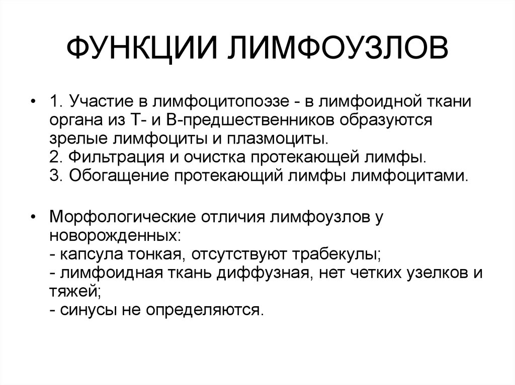 Лимфатические узлы функции. Функции структур лимфатического узла. Строение и функции лимфоузлов. Роль лимфатических узлов. Лимфатические узлы анатомия функции.