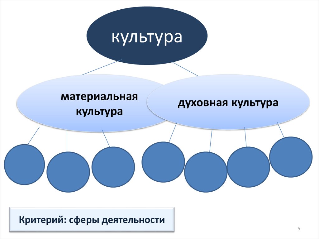 Морфология культуры