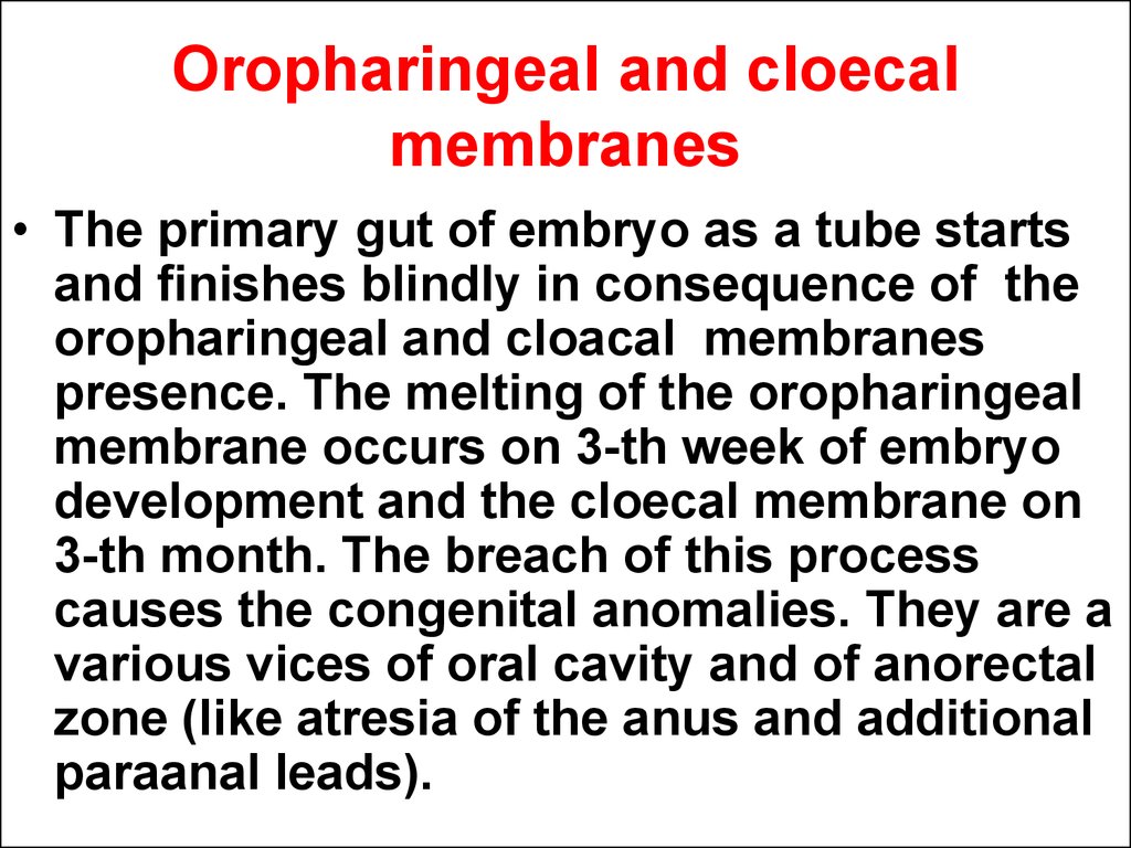 Oropharingeal and cloecal membranes