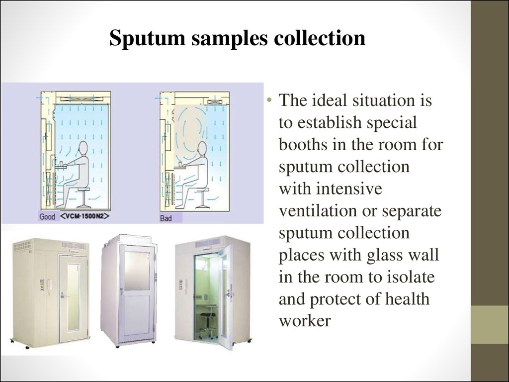 The general diagnostics of tuberculosis. (Lecture 2 