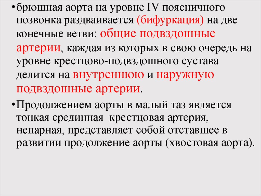 Закономерности топографии артерий. Бифуркация брюшной аорты. Бифуркация аорты на уровне поясничного позвонка. Уровень бифуркации брюшной аорты.