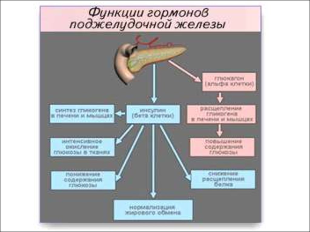 Гормоны и их функции. Поджелудочная железа гормоны и функции. Поджелудочная железа гормоны и функции таблица. Гормоны поджелудочной железы схема. Гормоны поджелудочной железы и их роль в организме.