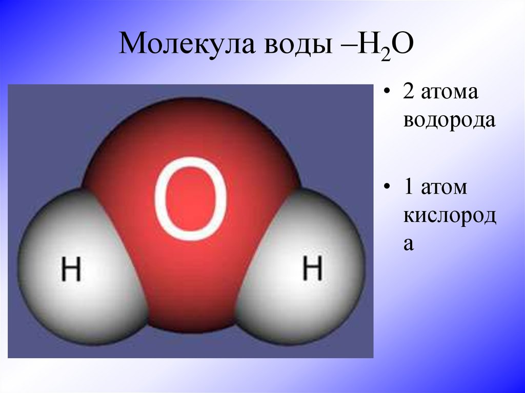 Воды состоит из водорода и кислорода. Молекула водорода н2. Структура молекулы воды. Схема молекулы кислорода. Атомы молекулы воды.