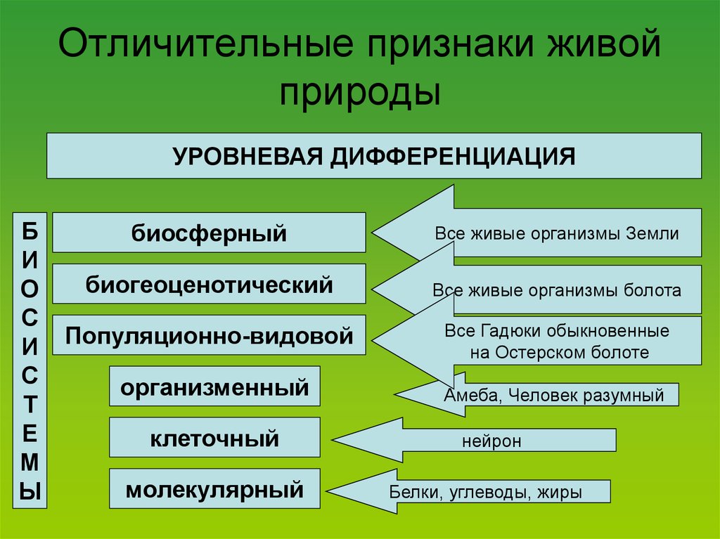 Схема признаки живого