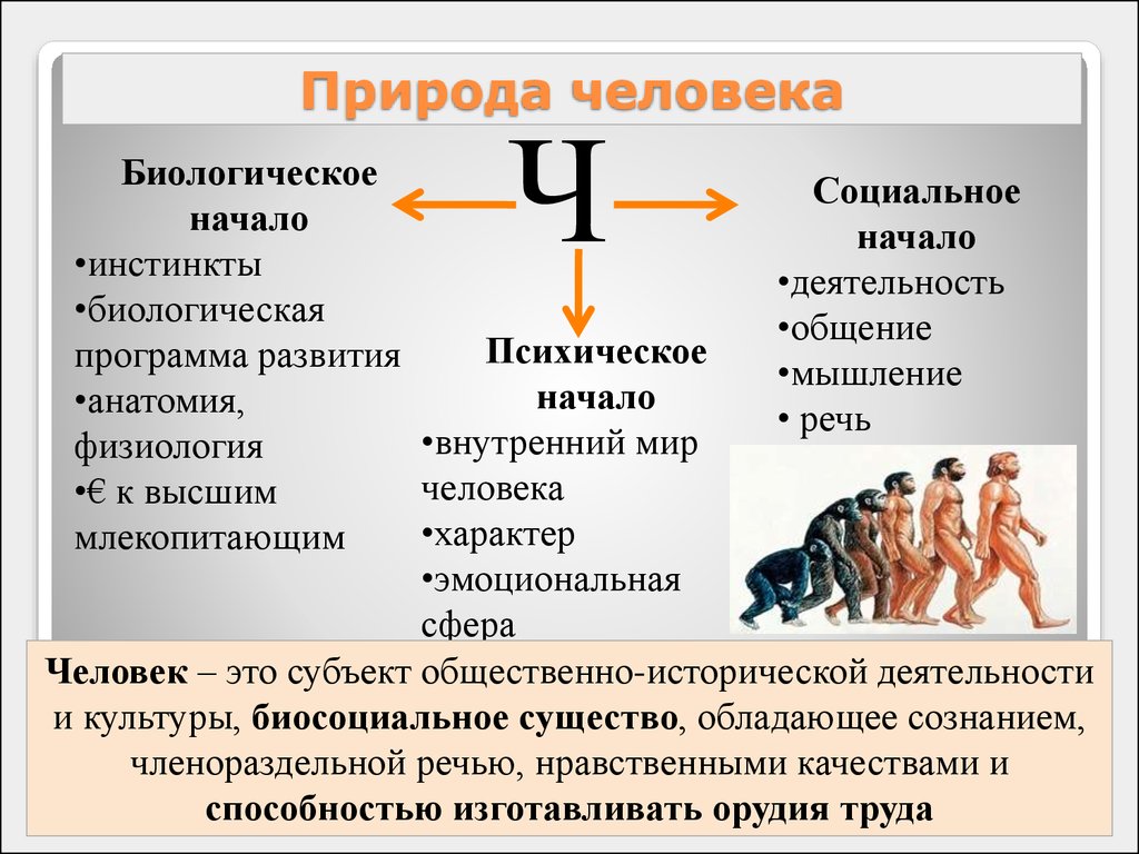 Понятие природа человека отражает. Биологическая и социальная природа человека. Небиологическая природа человека. Биология социальная природа человека. Социальная природа человека это Обществознание.