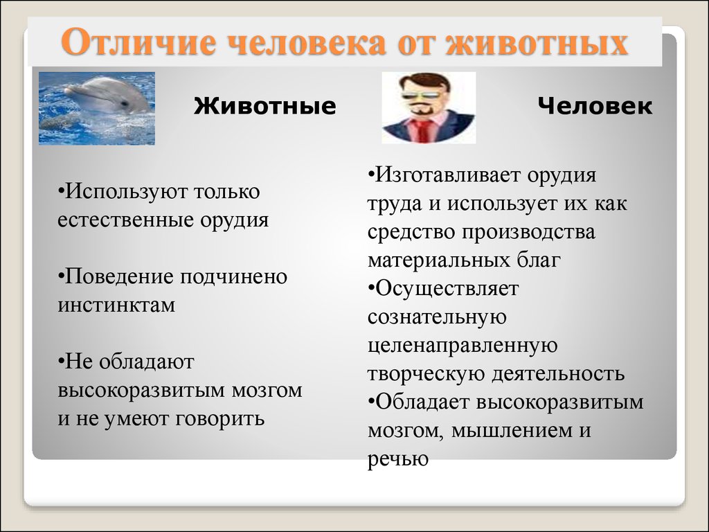 Отличия человека от животного 2 темы. Отличие человека от животных Обществознание. Что отличает человека от животного Обществознание. Чем человек отличается от животных Обществознание. Отличие человека от живо.