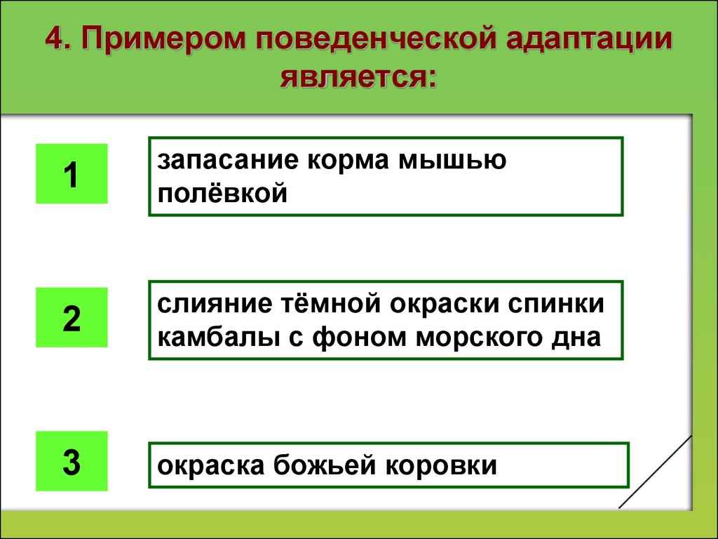 Механизмы приспособления к недостатку воды вида показанного на рисунке являются примером адаптации