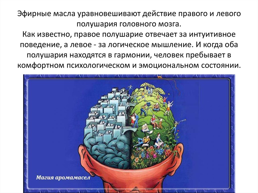 Эфирные масла уравновешивают действие правого и левого полушария головного мозга. Как известно, правое полушарие отвечает за интуитивное 