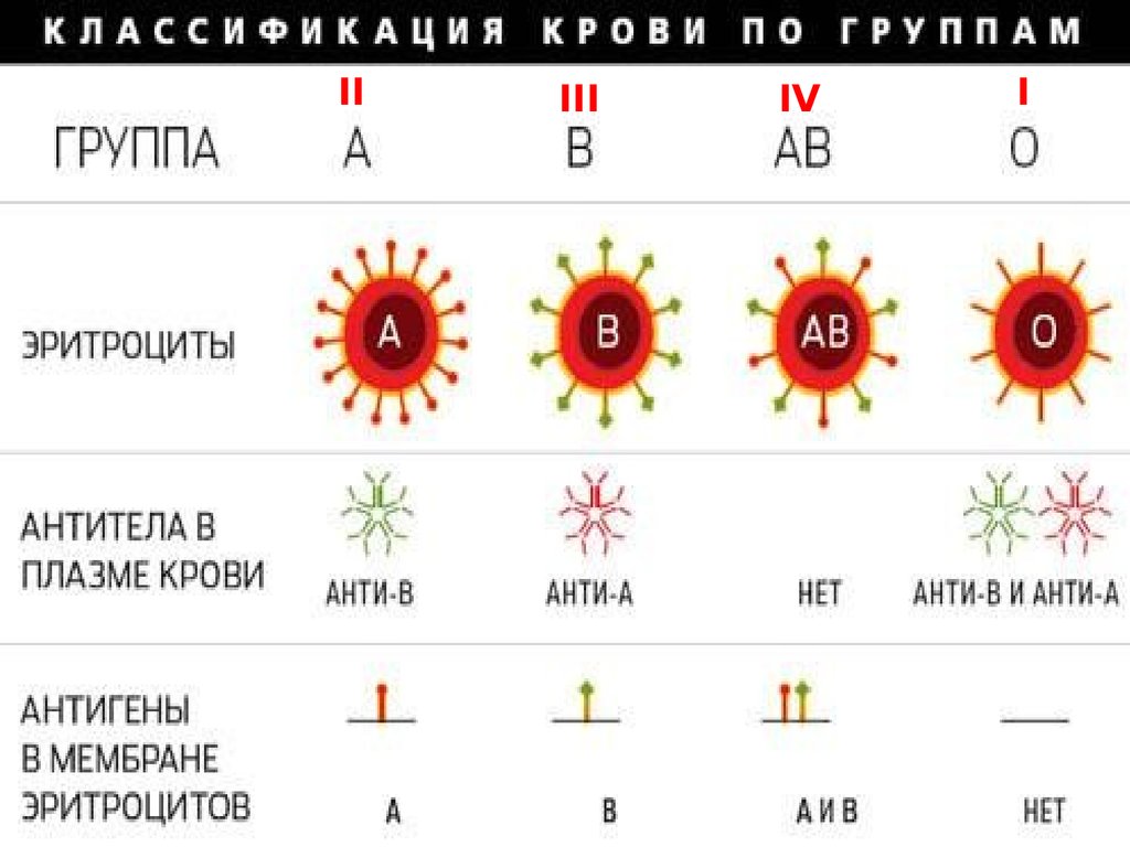 Антитела 2 группы крови. Схема скрещивания групп крови. Группы крови таблица. Группа крови и резус. Группы крови таблица наследования с резусом фактором.