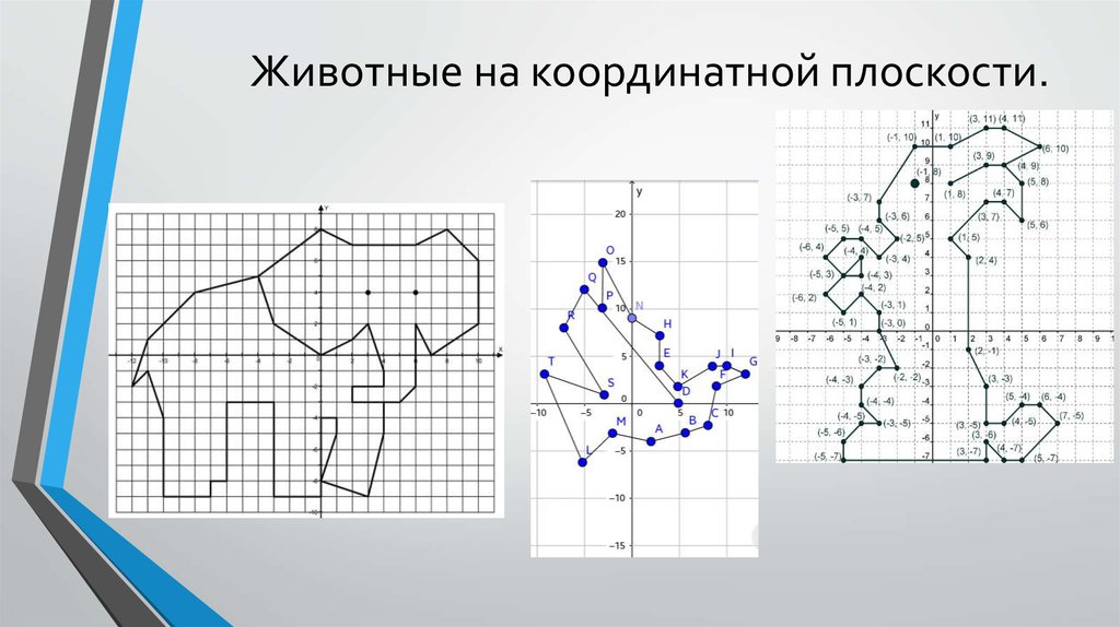 Координатная плоскость построить м 3 2. Декартова система координат на плоскости рисунки по точкам. Животные на координатной плоскости. Рисунок на координатной плоскости с координатами. Рисунки на плоскости с координатами.