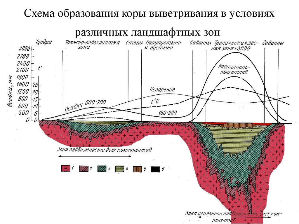 Схема образования коры выветривания в условиях различных ландшафтных зон 