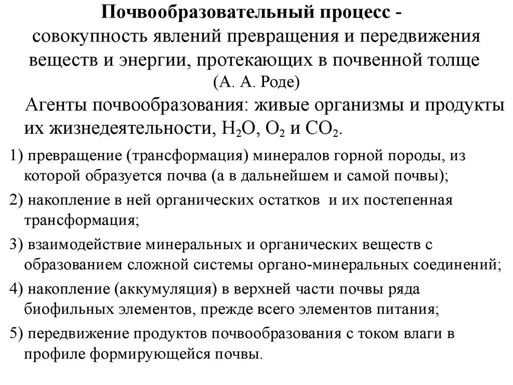 Общая схема почвообразовательного процесса и формирование почвенного профиля