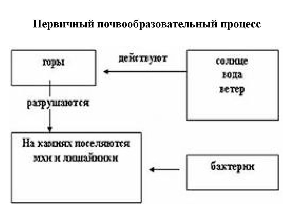 Схема процесса почвообразования