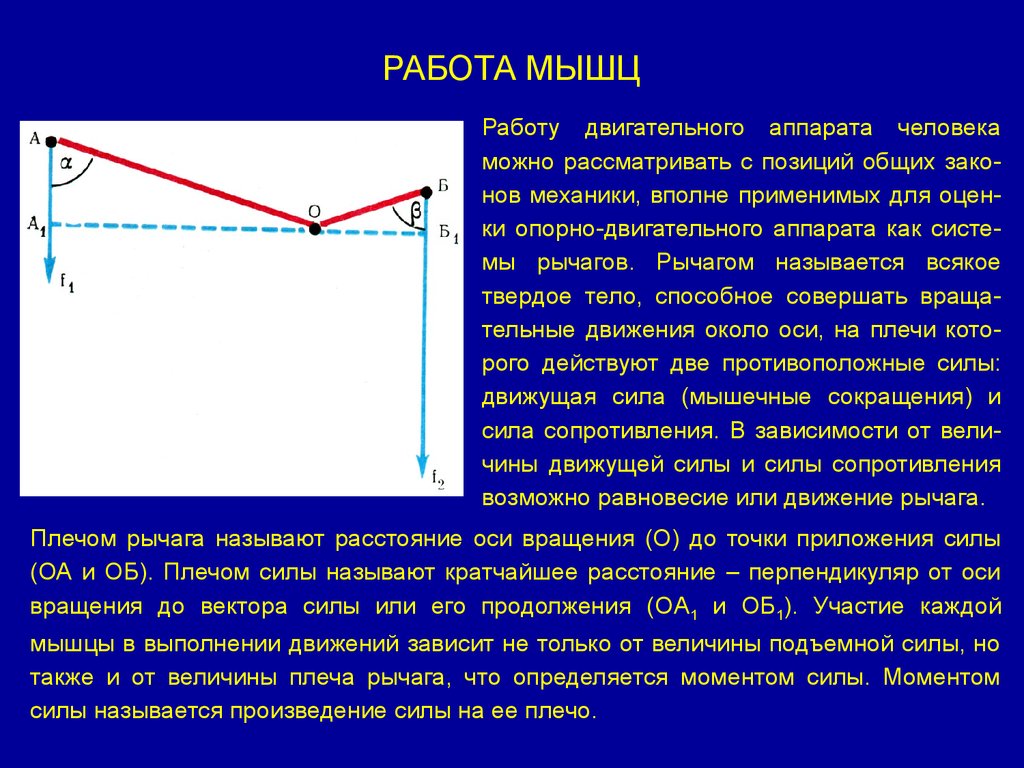 2 плечо силы