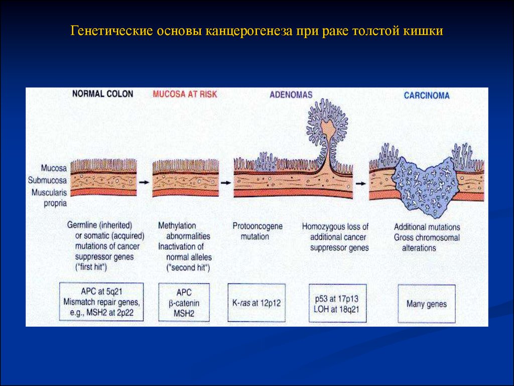 Каши при раке толстой кишки