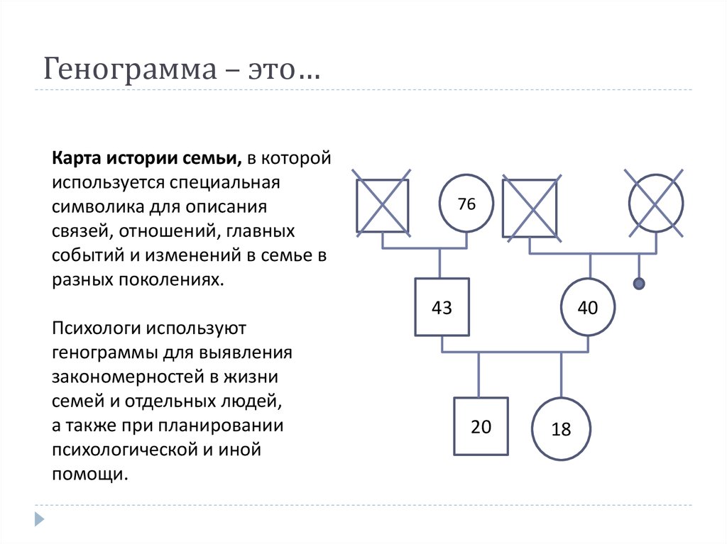 Семейная генограмма образец