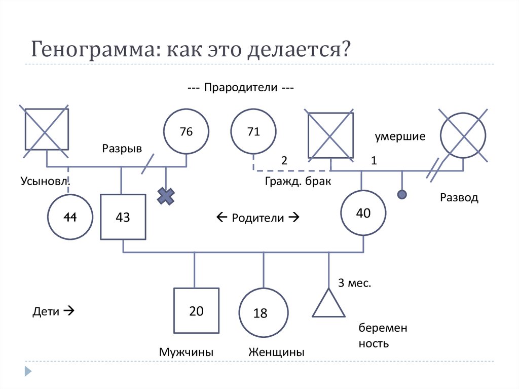 Техника карта семьи в сатир включает информацию