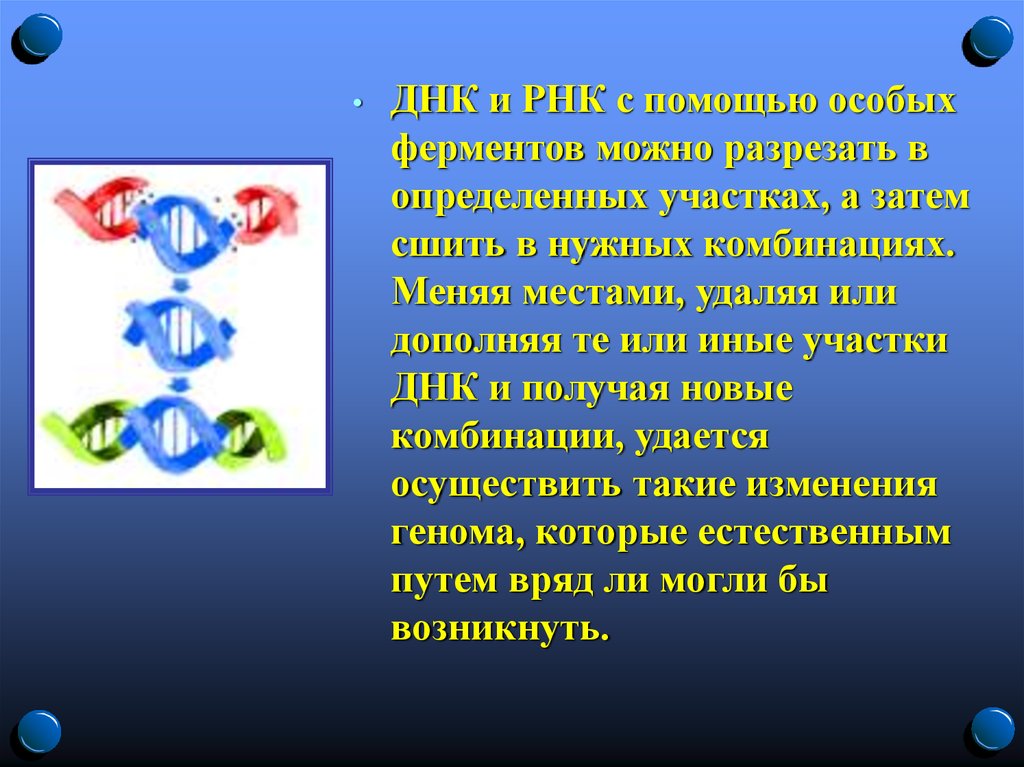 С помощью специального кода. ГМО ДНК И РНК. ГМО И РНК. Менять комбинацию ДНК. Оператор это особый участок ДНК.