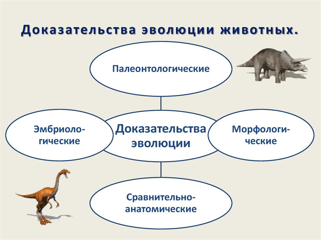 Презентация про эволюцию