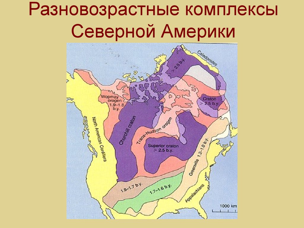 Древняя североамериканская платформа. Тектоническая карта Северной Америки. Геология Северной Америки карта. Тектоническое строение Северной Америки карта. Геологическое строение Северной Америки.