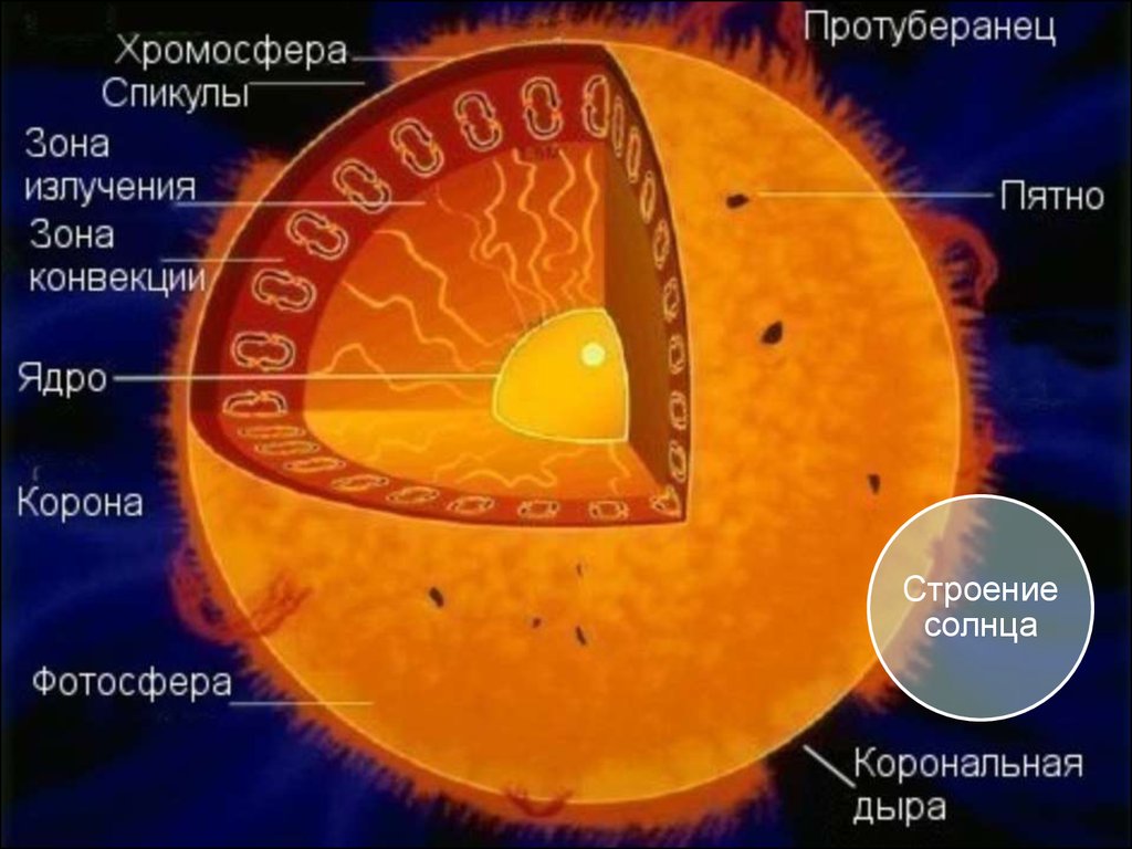 Элементы составляющие атмосферы солнца. Внутренне строение солнца ядро. Внутреннее строение солнца схема. Внутреннее строение солнца слои. Строение солнца внутреннее и внешнее.