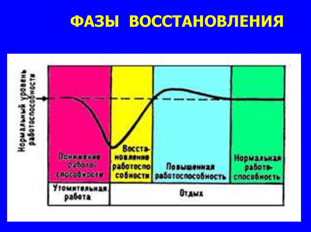 Как происходит восстановление. Фазы восстановления работоспособности. Фазы восстановления после физической нагрузки. Фазы восстановительного процесса. Восстановление, фазы и изменения работоспособности.