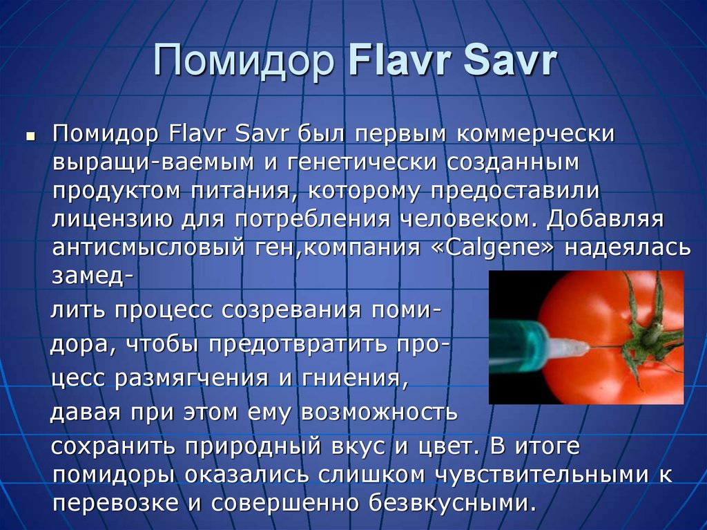 Гмо помидоры. Помидор Флавр Савр. Flavr savr помидоры. Генетически модифицированный томат. ГМО томат.