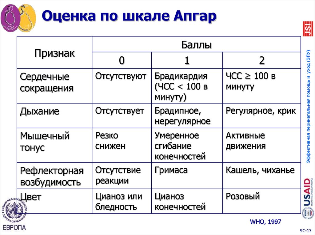Оценка по шкале Апгар