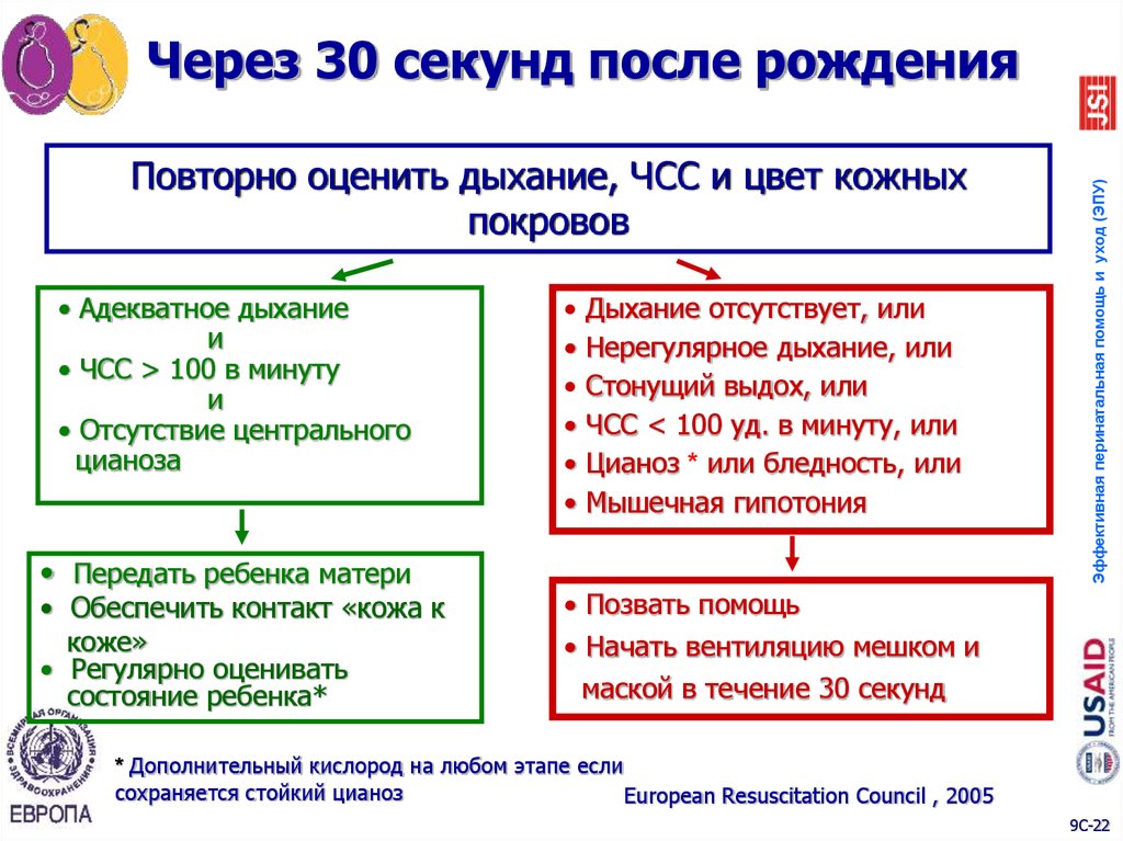 Через 30 секунд после рождения