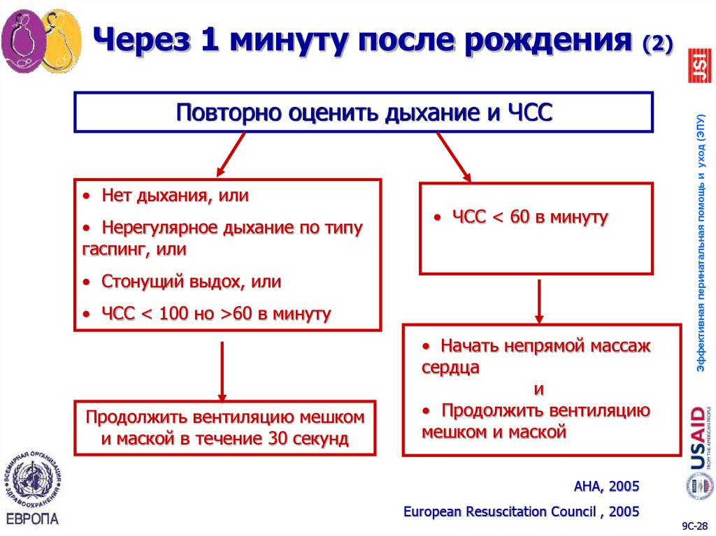 Через 1 минуту после рождения (2)
