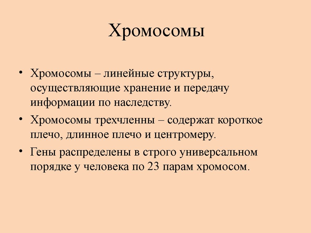 Линейные хромосомы. Понятие хромосома. Термин хромосома. Линейные хромосомы функции.